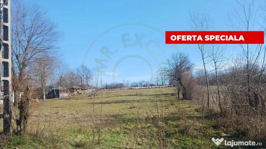 Teren de 6500 mp, în Rociu