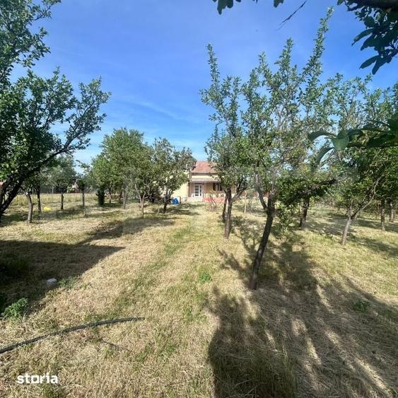Casă cu 6 camere cu Teren 1000 Mp în Orțișoara