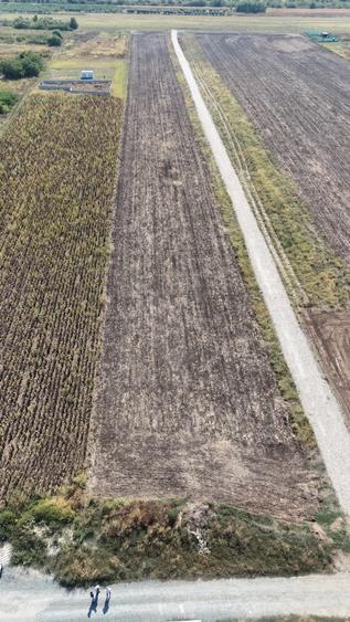 Teren Construcții intravilan de 10000 mp, în Frumușani