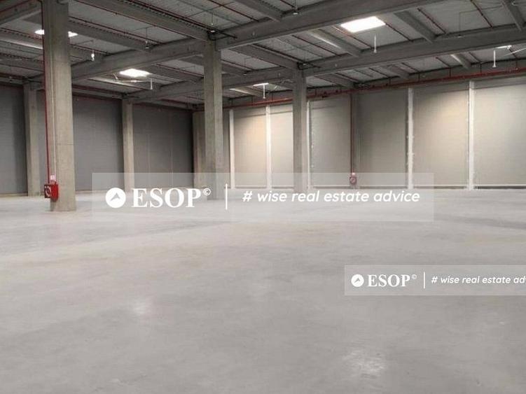 Spațiu industrial, de 5,000 mp, în Chitila