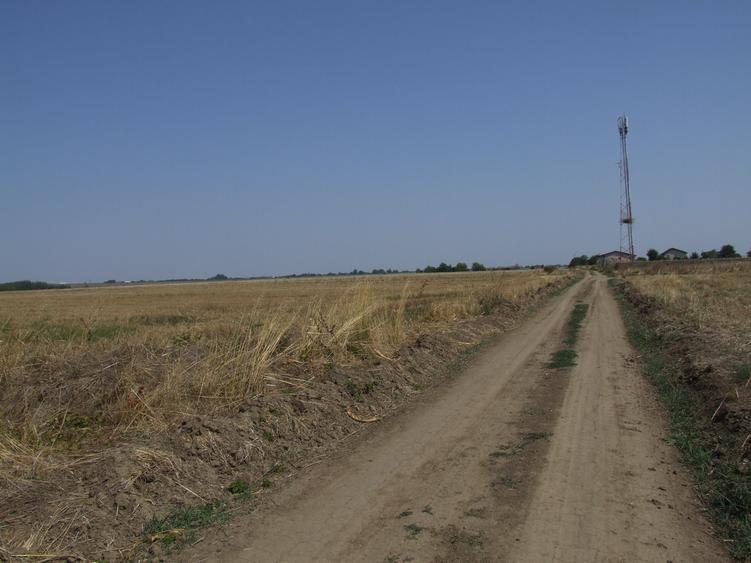 Teren intravilan de 9817 mp, în Domnești