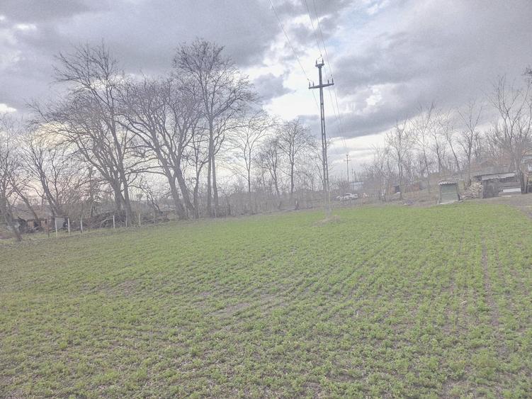 Casă cu 5 camere cu Teren 2700 Mp în Central