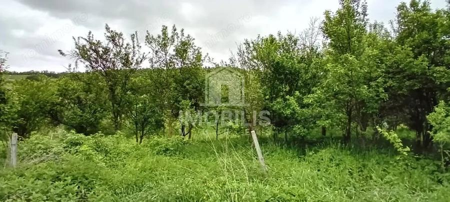 Teren de 994 mp, în Budiu Mic