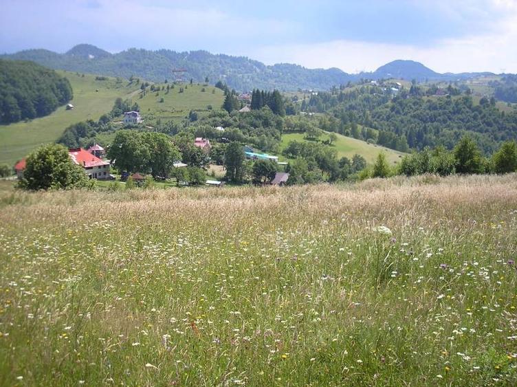 Teren intravilan de 3700 mp, în Moieciu de Jos
