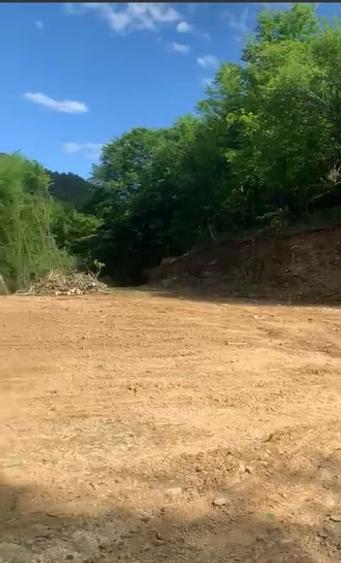 Teren Construcții extravilan de 3950 mp, în Mărișel