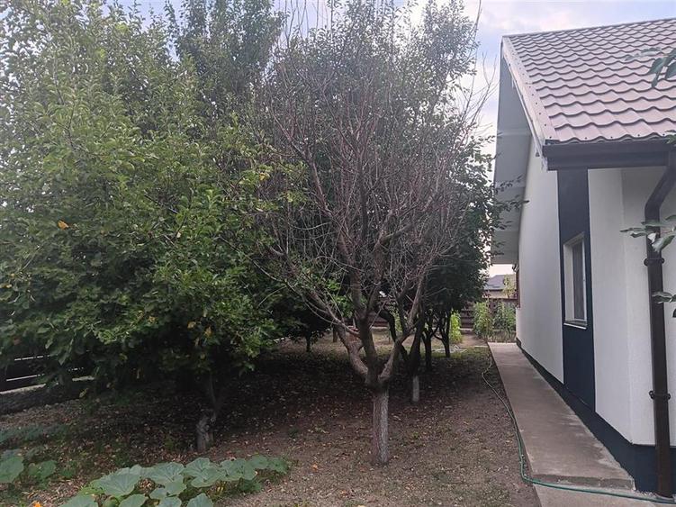 OCAZIE! Vorovesti rond TLT  CASA  PARTER  ST-102mp TEREN 700mp dubla deschidere - 3