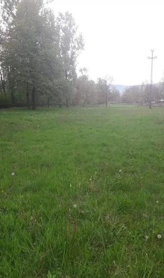 Teren de 4500 mp, în Săpânța