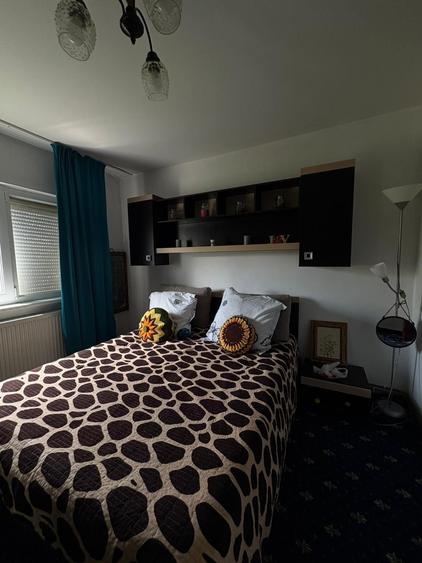 Apartament cu 2 camere decomandat în Rovine