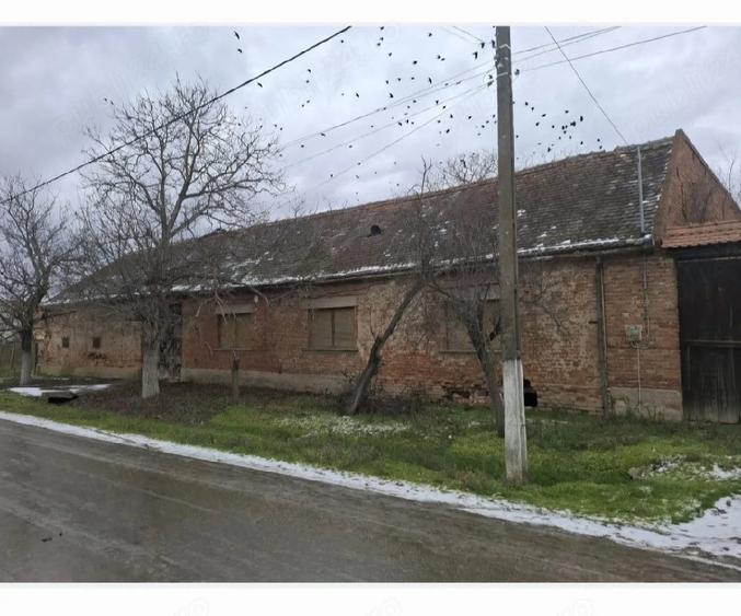 Casă cu Teren 5800 Mp în Sălbăgel