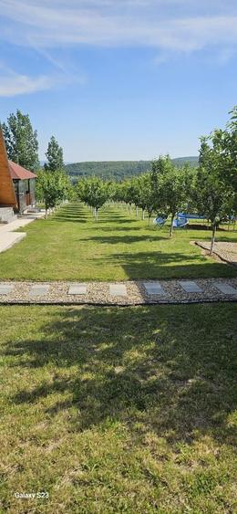 Casă individuală cu 8 camere cu Piscina în Cordău