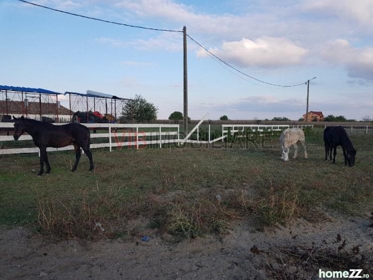 Ferma Zootehnică– Satchinez,  | 9,5 ha teren,vanzare sau schimb pentru jumatate - 8