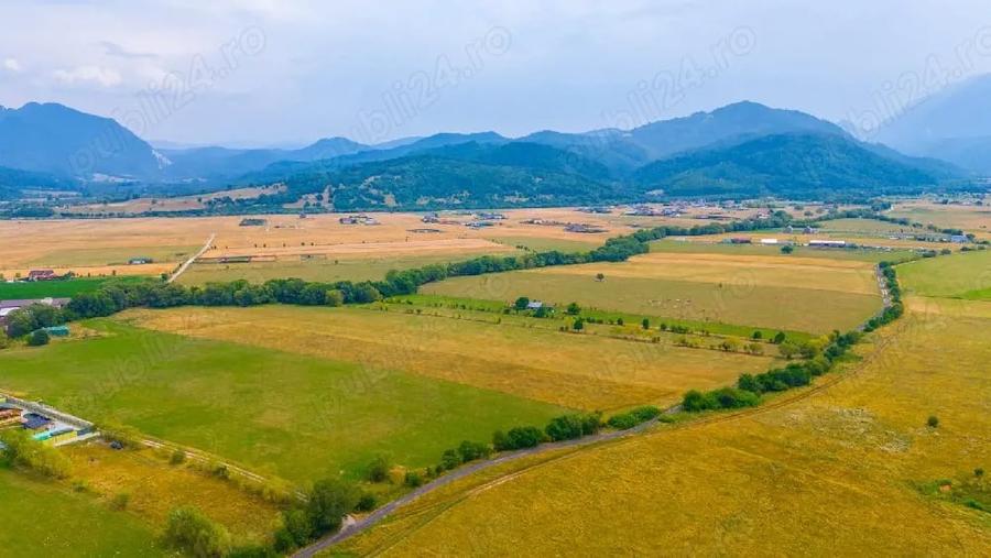 Teren de 2500 mp, în Pănicel