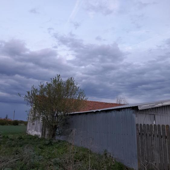 Teren agricol intravilan de 5 mp, în Ciuperceni (Cosmești)