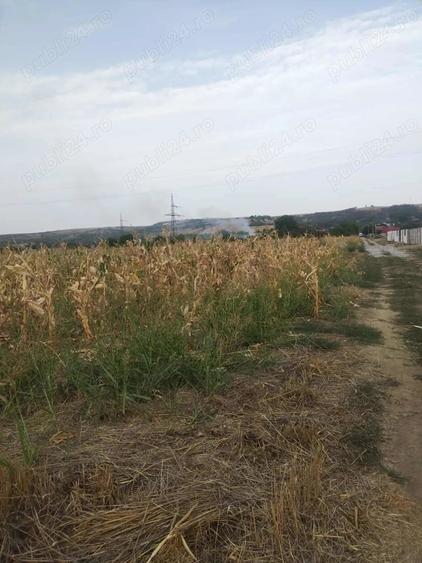Teren de 1700 mp, în Central
