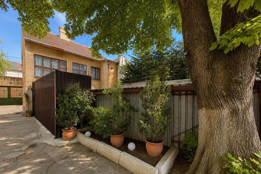 Casă D+P, zona Boul Roșu, pretabilă spații de cazare/birouri - 33