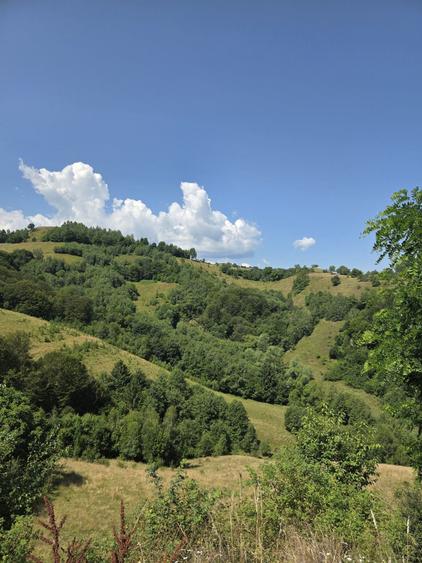 Teren de 11650 mp, în Poiana Mărului