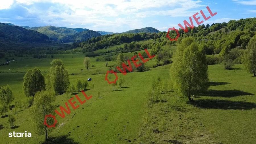 Spațiu comercial, în Vama Buzăului