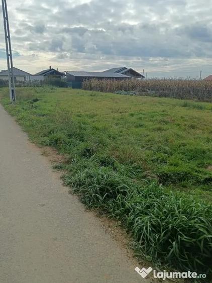 Teren de 800 mp, în Mocira