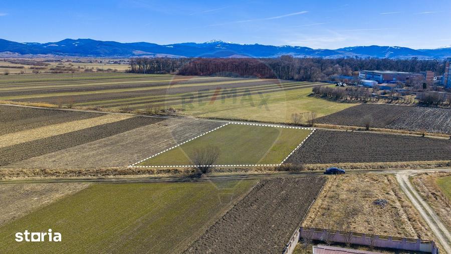 Teren de 3700 mp, în Prejmer