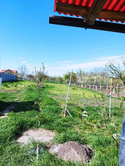 Casă individuală cu 5 camere cu Teren 1500 Mp în Macea