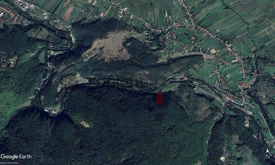 Teren extravilan de 100000 mp, în Șuncuiș