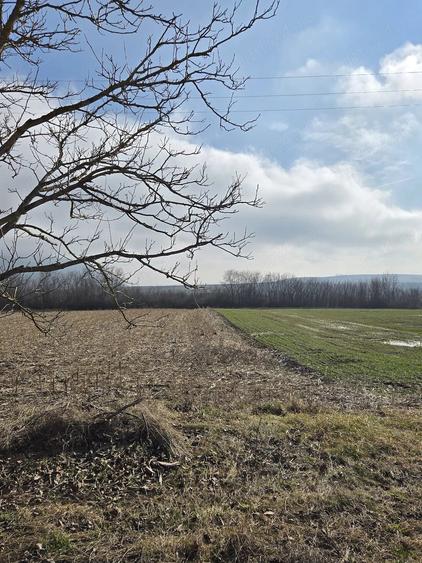 Teren de 3000 mp, în Sântămăria-Orlea