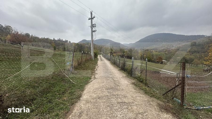 Teren de 4950 mp, în Certeju de Sus