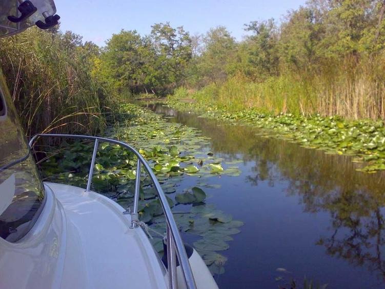 TEREN INTRAVILAN 4.508 MP CU APA PE 3 LATURI Cardon, Delta Dunarii - Sulina - Padurea Letea - 2