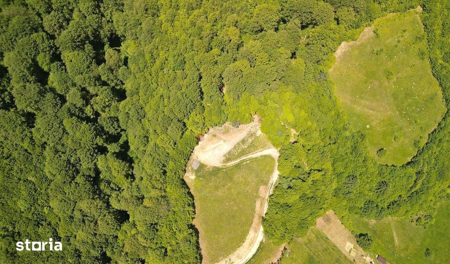 Teren de 16000 mp, în Holbav