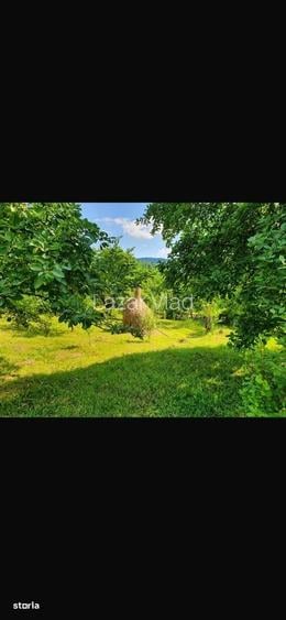 Teren de vanzare, zona superba