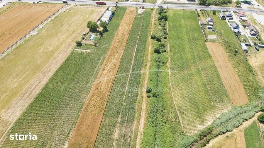 Teren cu potential de dezvoltare 7427 mp in Argeselu, Maracineni, j - 2