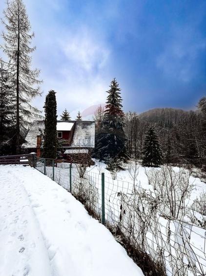 Teren Construcții intravilan de 1794 mp, în Moroeni