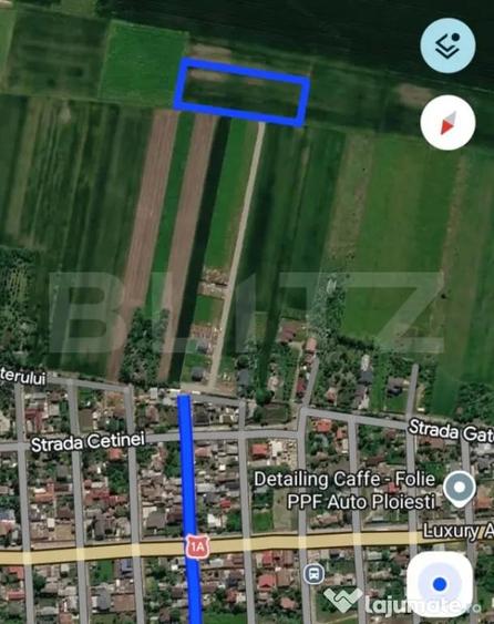 Teren în Vest
