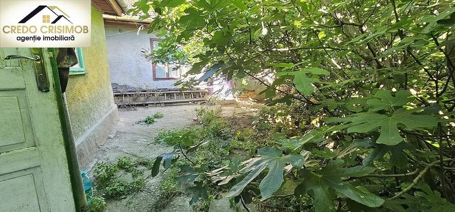 Casă cu 5 camere cu Teren 500 Mp în Muncitoresc