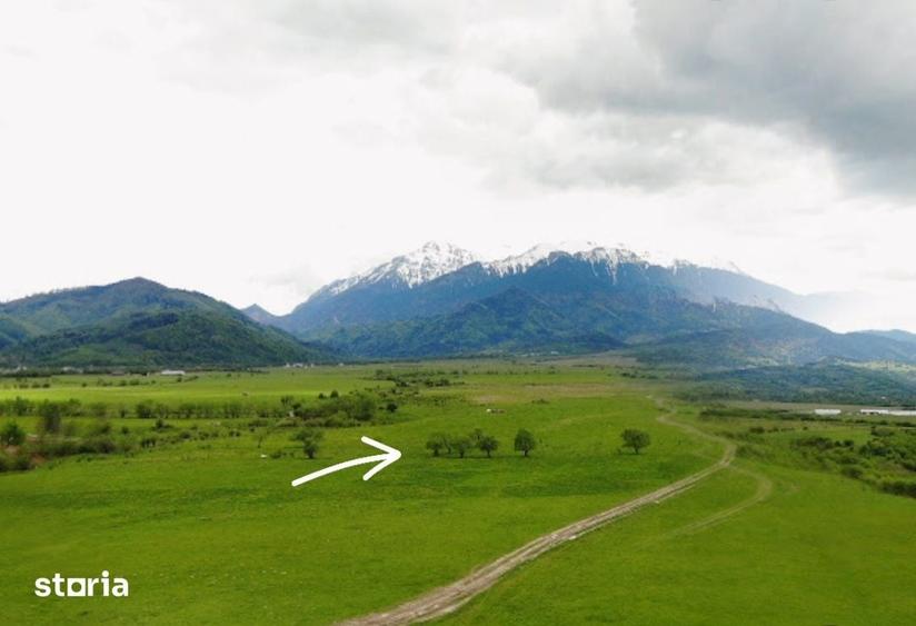 Teren de 10000 mp, în Central