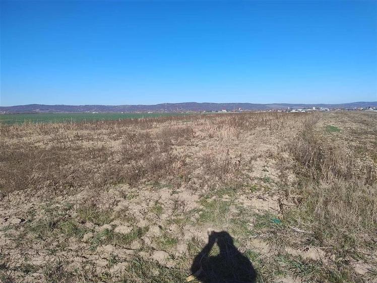 Teren Construcții intravilan de 15350 mp, în Alparea