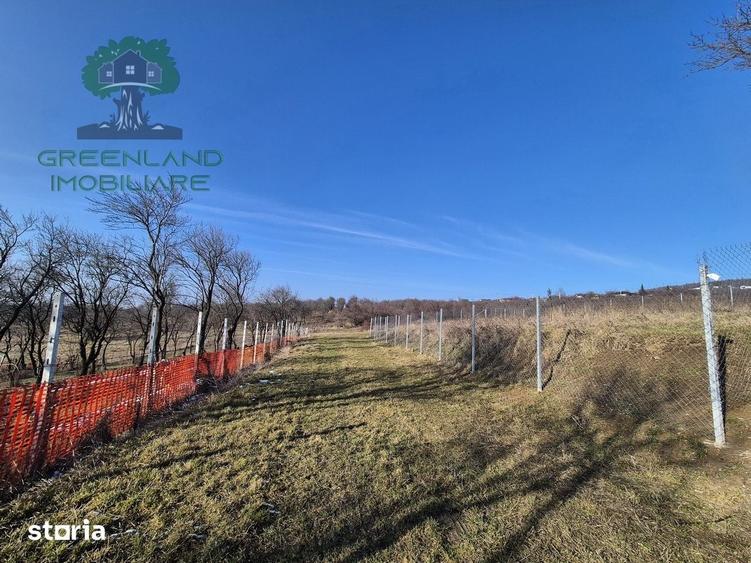 Teren intravilan BARNOVA, 560mp, toate utilitatile - 5