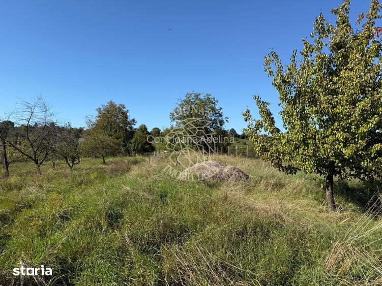 Teren intravilan 965 mp-imprejmuit-ideal casa-Livezile