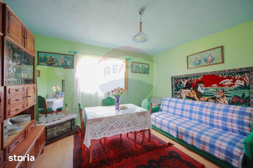 Casă cu 5 camere cu Teren 55706 Mp în Șinteu