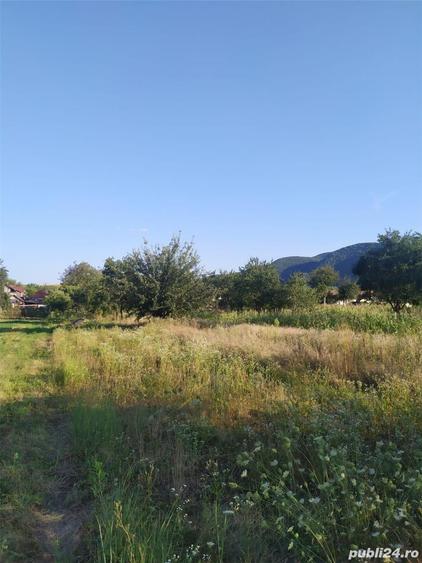 Teren de 2000 mp, în Brănișca