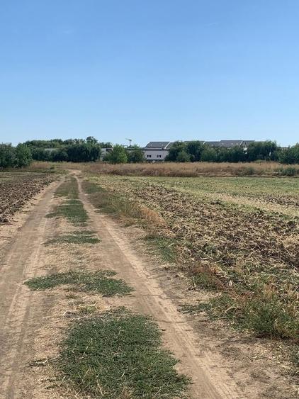 Teren agricol intravilan de 4000 mp, în Dimieni