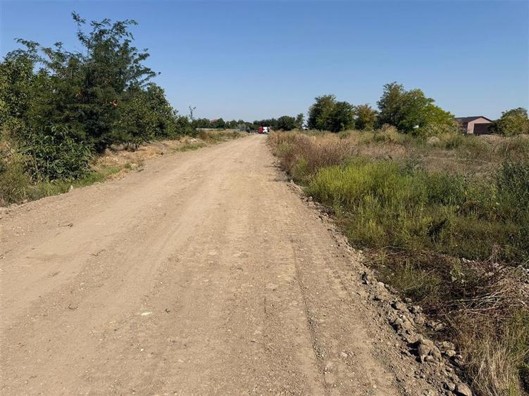 Teren intravilan de 1432 mp, în Apollo