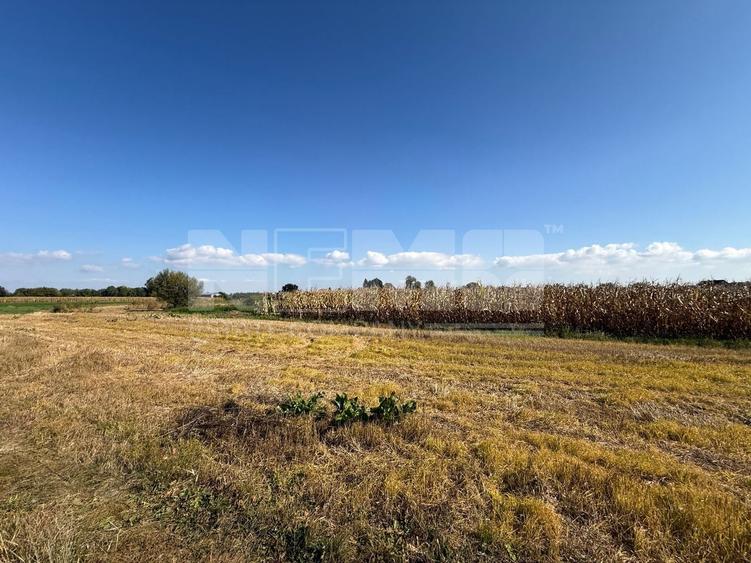 Teren Construcții intravilan de 2200 mp, în Volovăț
