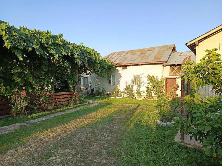 Casă cu 3 camere cu Teren 2200 Mp în Broșteni (Vișina)