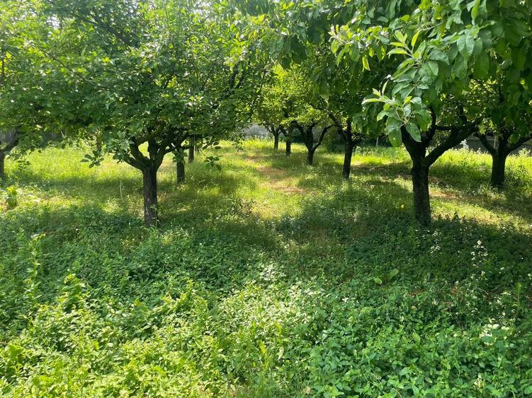 Casă cu 4 camere în Ghirdoveni