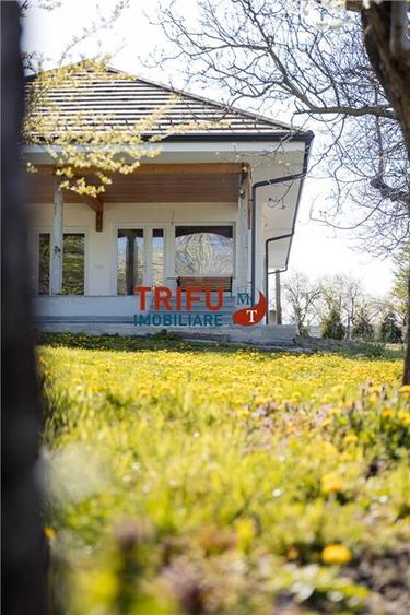 Teren Construcții intravilan de 11771 mp, în Vințu de Jos