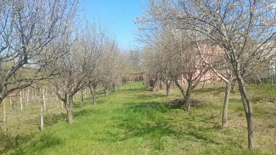 Casă cu 3 camere cu Teren 800 Mp în Bucium