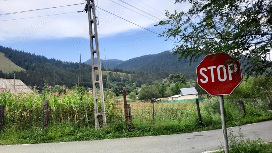 Teren de 1015 mp, în Săvinești
