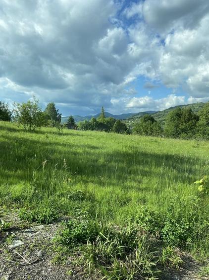 Teren de 2600 mp, în Vișeu de Sus
