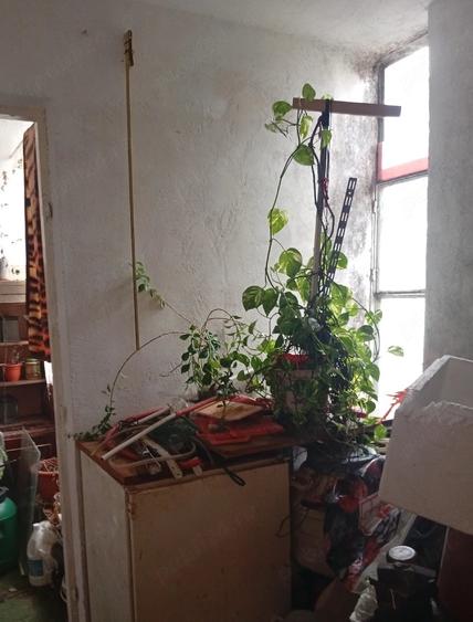 Apartament cu 3 camere semidecomandat în Gojdu